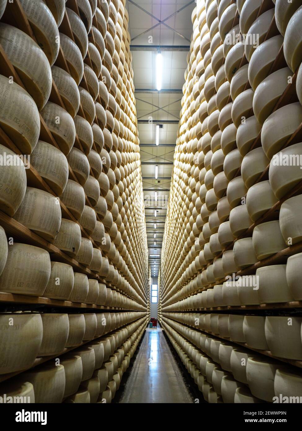 Parmesan cheese storage in dairy farm in Parma Italy 2020 Stock Photo