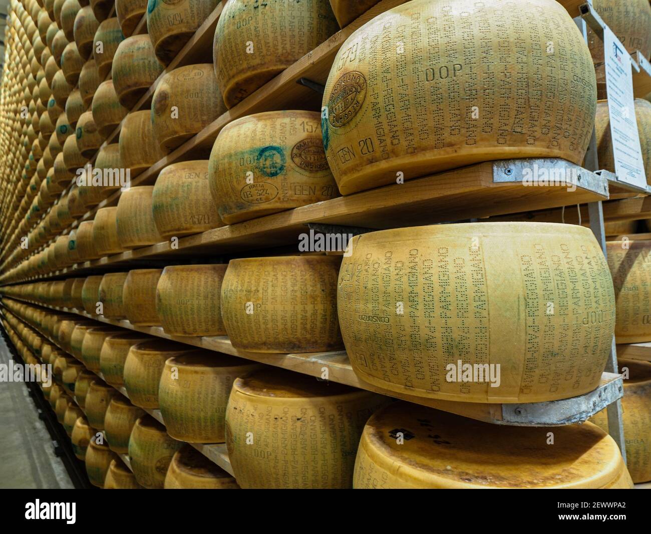 https://c8.alamy.com/comp/2EWWPA2/parmesan-cheese-storage-in-dairy-farm-in-parma-italy-2020-2EWWPA2.jpg