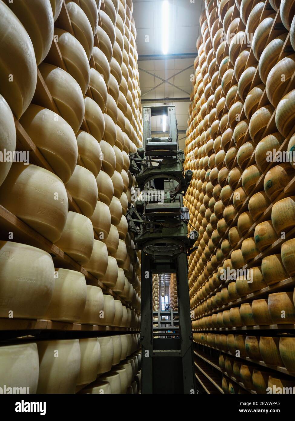 https://c8.alamy.com/comp/2EWWPA5/parmesan-cheese-storage-in-dairy-farm-in-parma-italy-2020-2EWWPA5.jpg