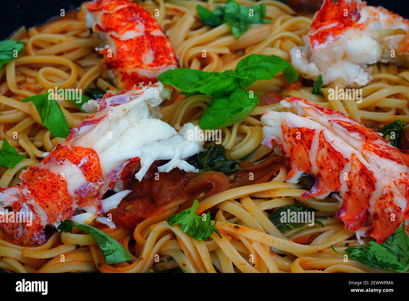 A dish of tomato linguine pasta with lobster tails and fresh basil