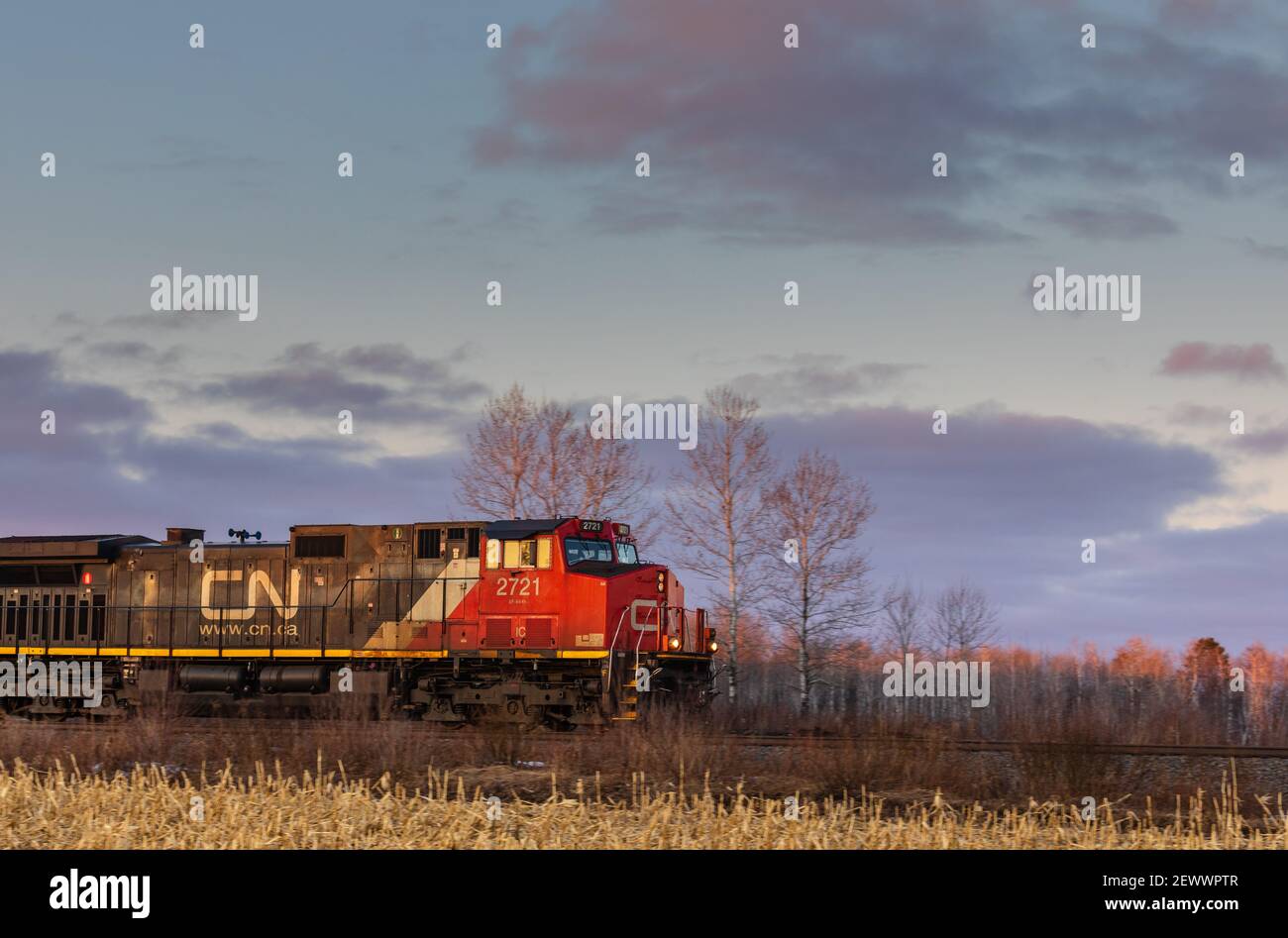 CN freight train passing through a farming community in Exeland, Wisconsin. Stock Photo