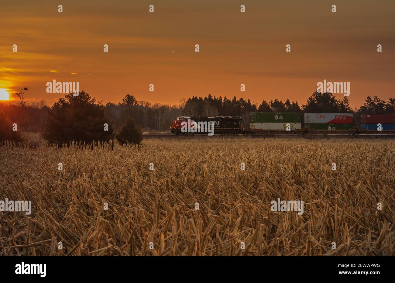 An early morning freight train passing through a farming community in northern Wisconsin. Stock Photo