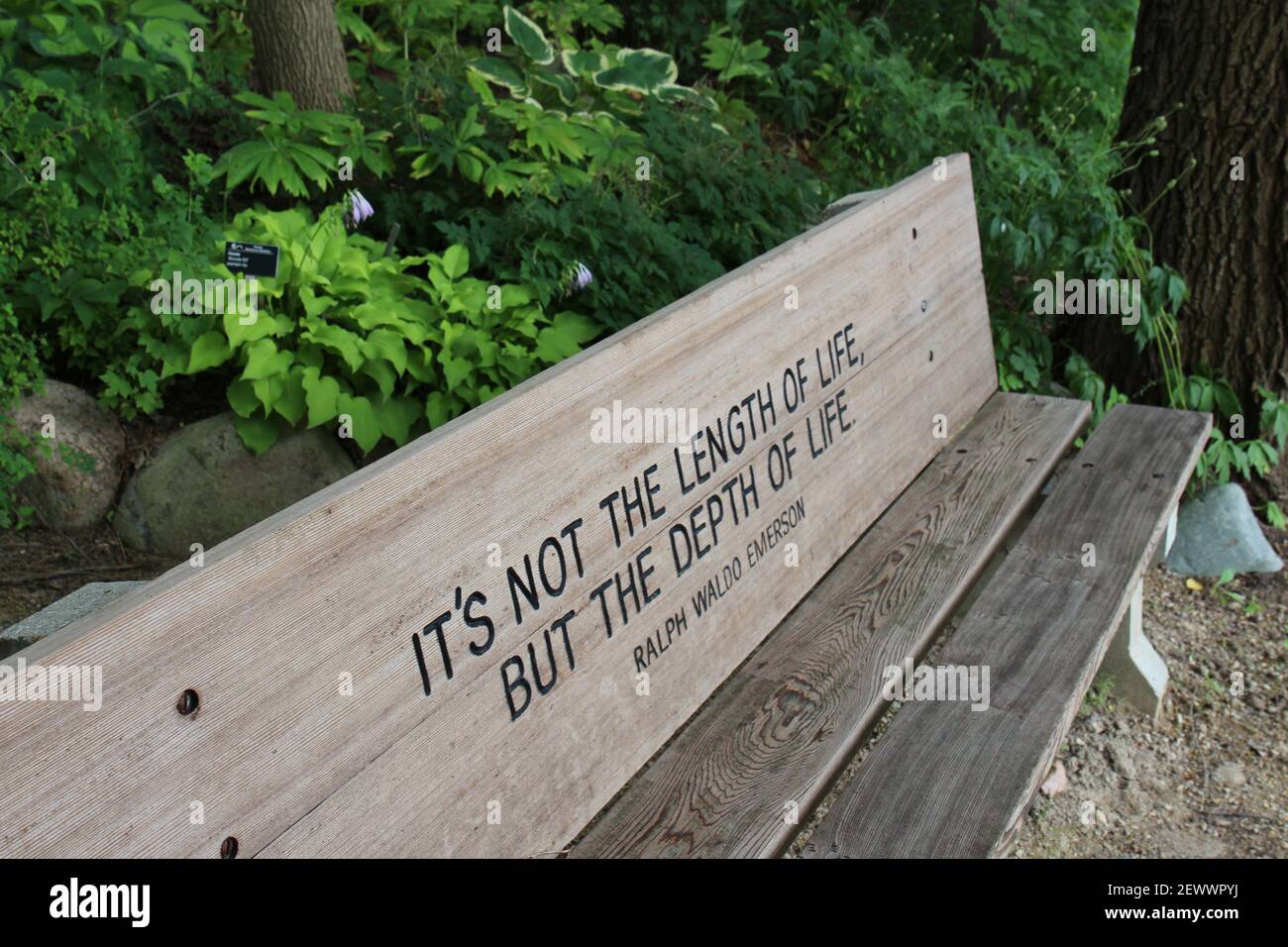 An engraved wood park bench with a quote from Ralph Waldo Emerson  front of a shade garden  with trees and plants in a park in Wisconsin, USA Stock Photo