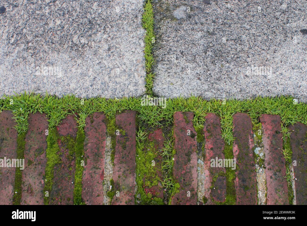 Abstract stone and brick texture with moss, urban ground Stock Photo