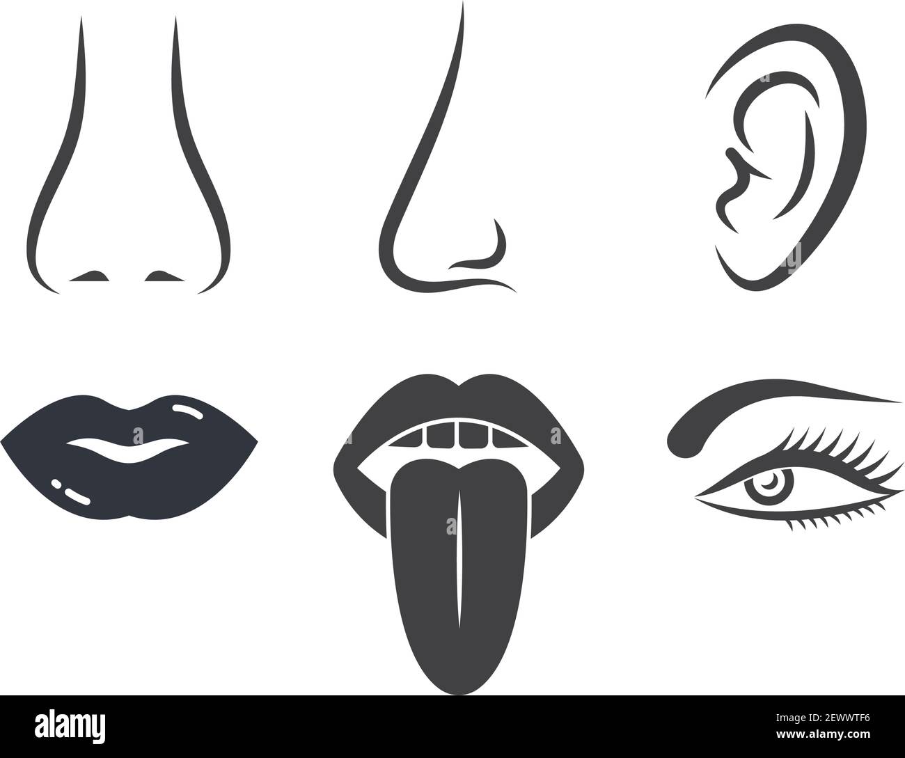 Listening with senses Stock Vector Images - Alamy