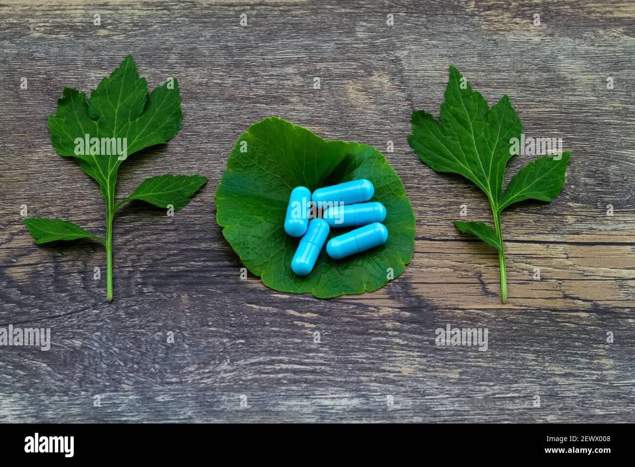 Colorful of pill and green leaf of White mugwort plant (Artemisia lactiflora) with Green Asiatic Pennywort (Centella asiatica ) on grunge wooden backg Stock Photo