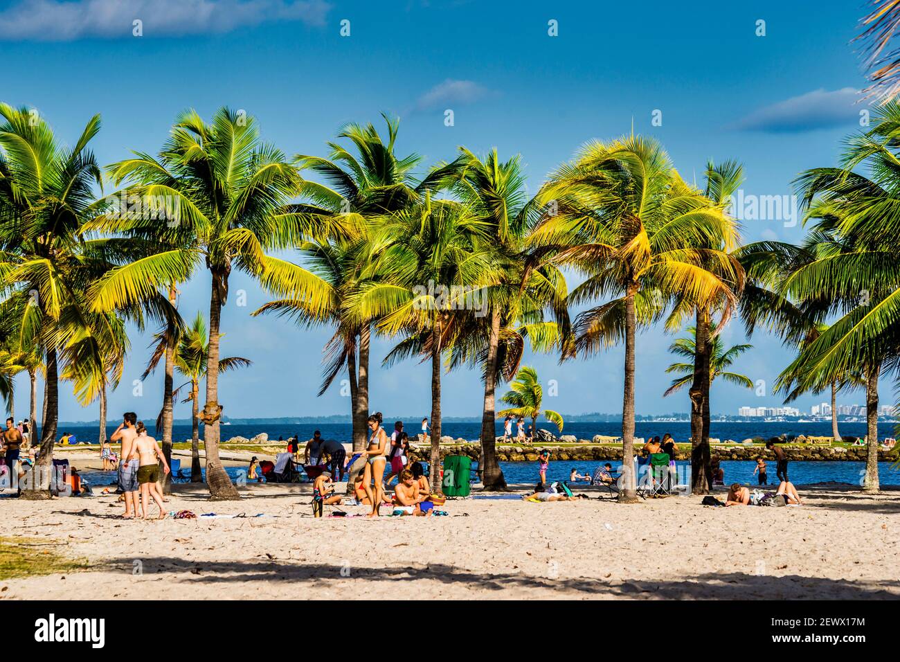 Matheson hammock outlet beach