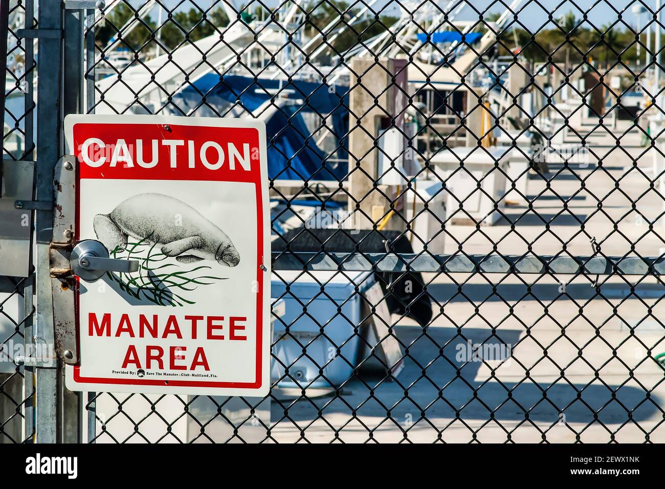 Manatee Caution sign at Black Point Park Marina on Biscayne Bay in Miami,Florida. Stock Photo