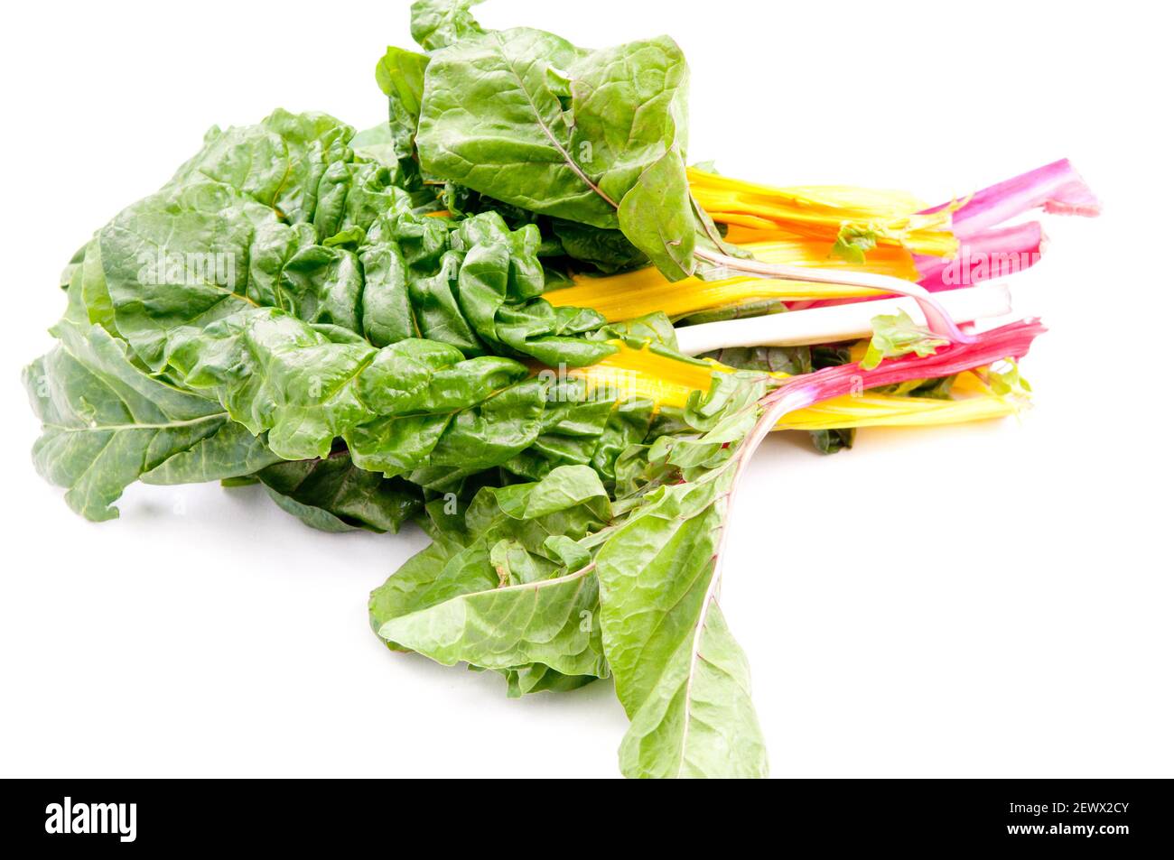 Color Chard organic swiss chard in yellow, pink red and green Stock Photo - Alamy