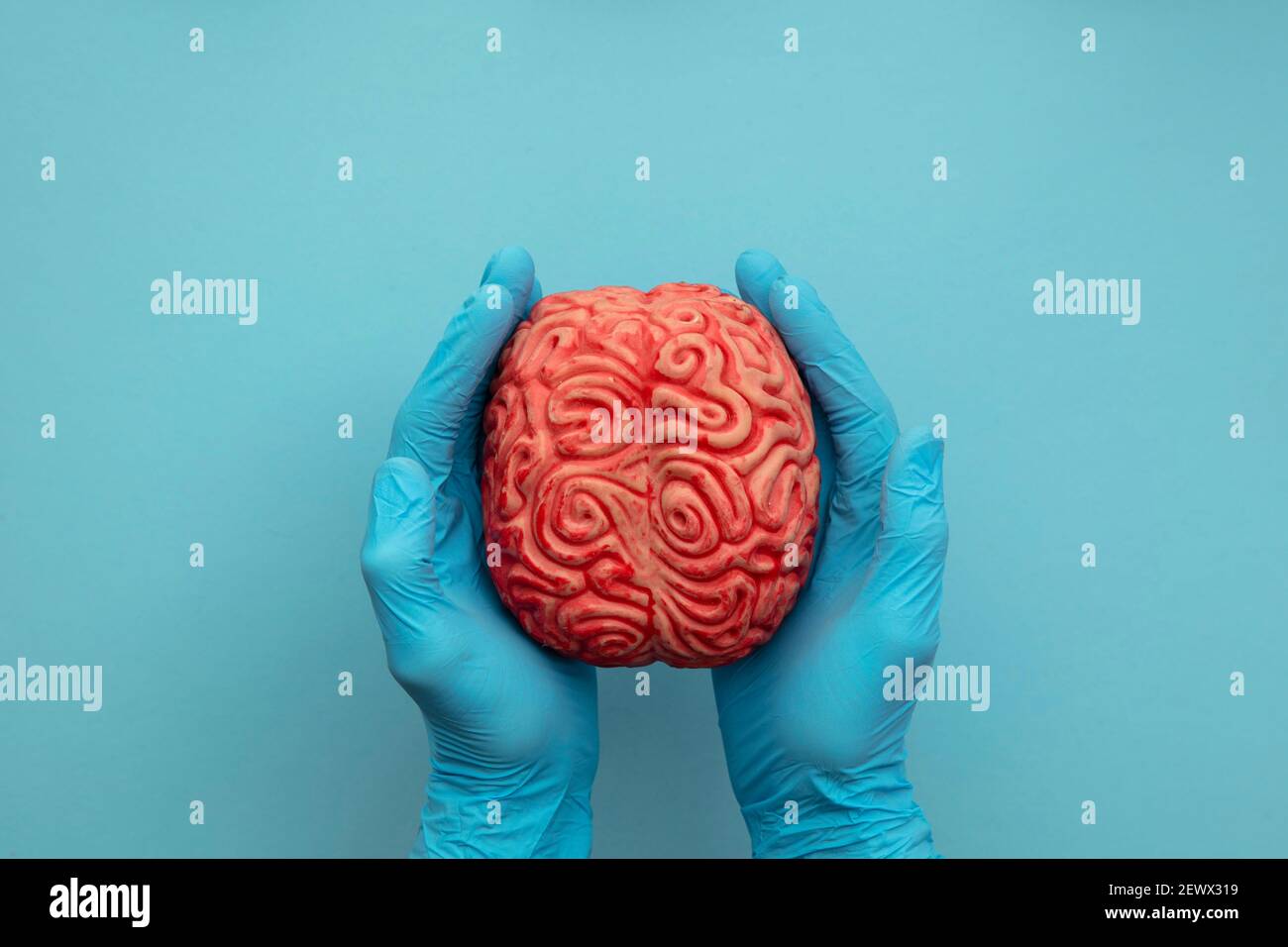 A doctor wearing blue surgical gloves holding a brain. Mental health concept Stock Photo