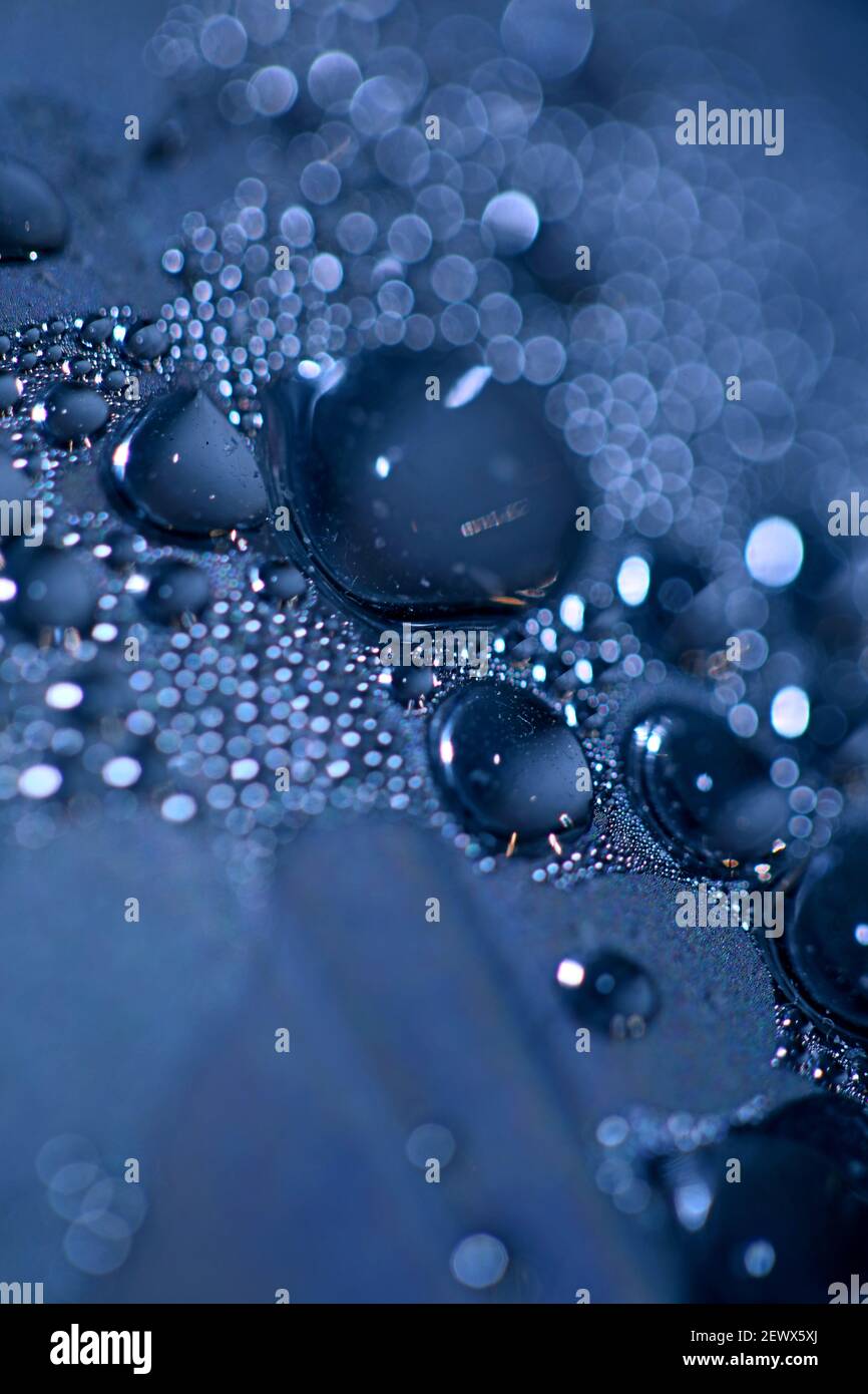 Macro shooting of water droplets beside the glass surface close up liquid drops modern background pattern high quality prints Stock Photo