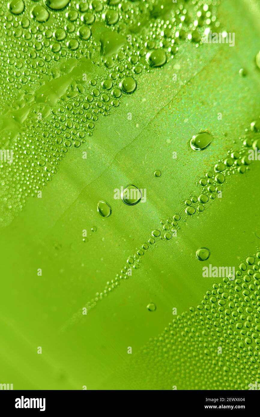 Macro shooting of water droplets beside the glass surface close up ...