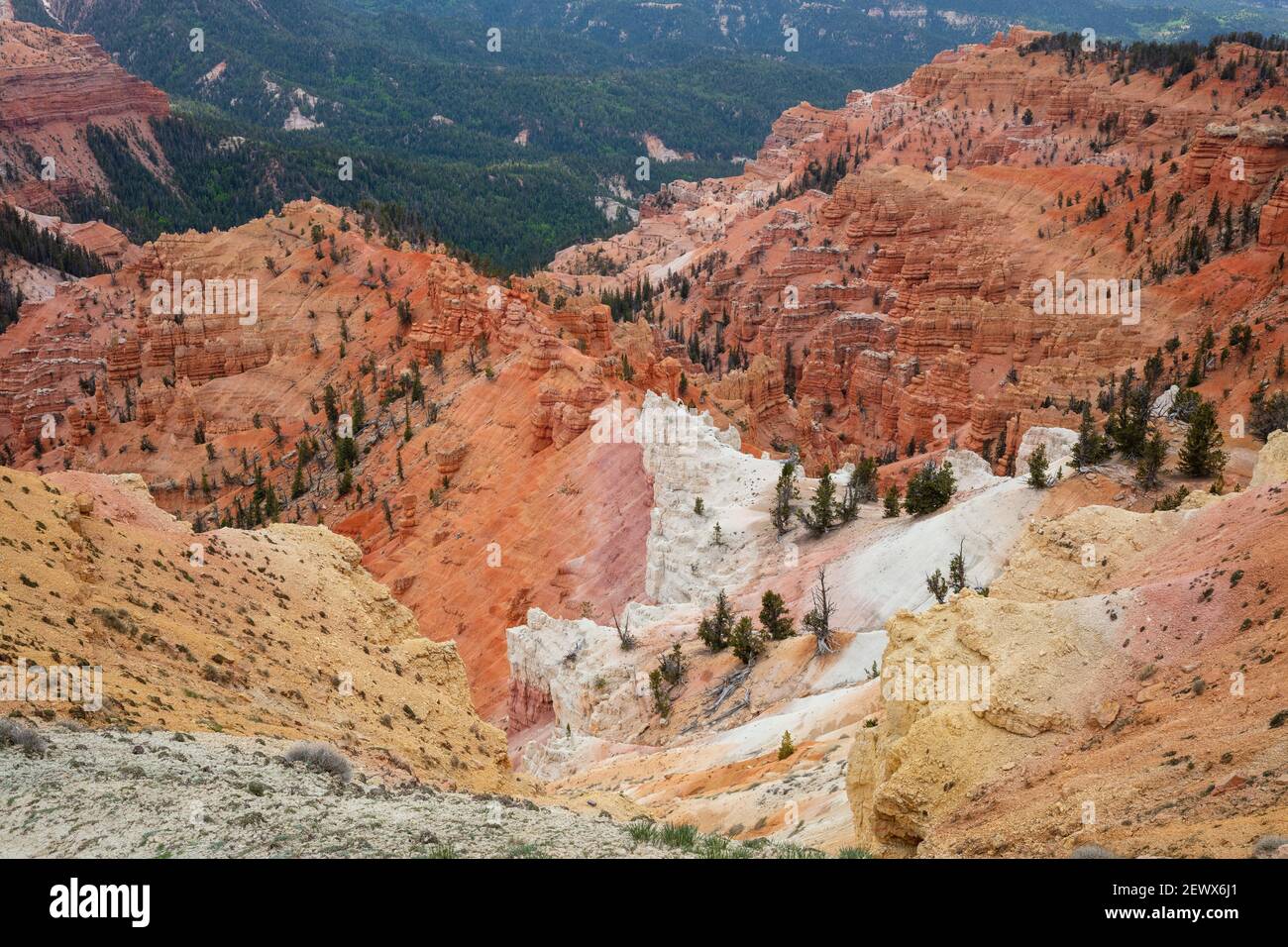 Colorful eroded cliffs, Cedar Breaks National Monument, Utah Stock Photo