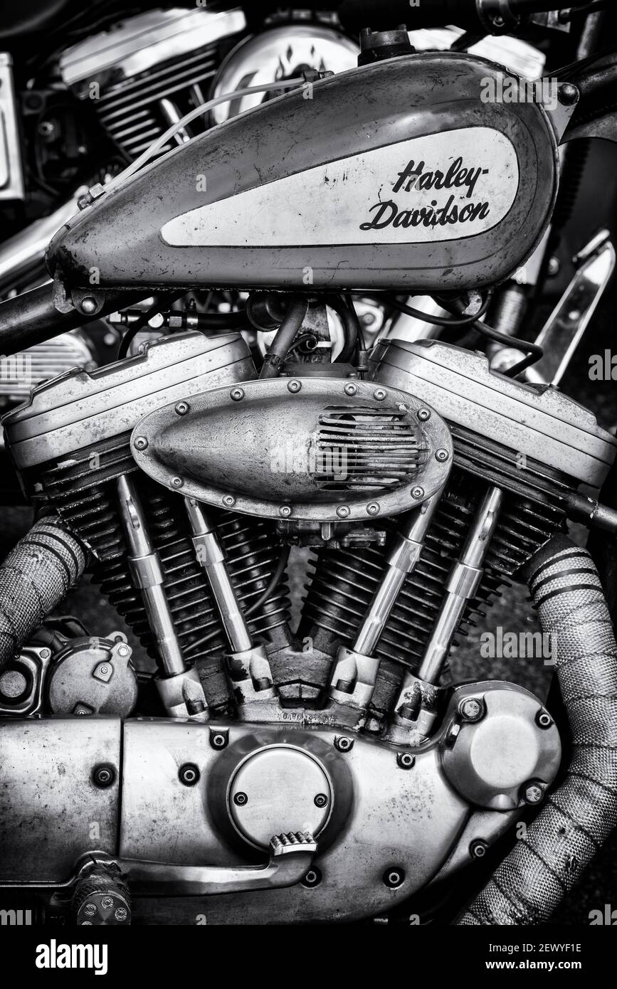 Harley Davidson Bobber Motorcycle. Black and white Stock Photo