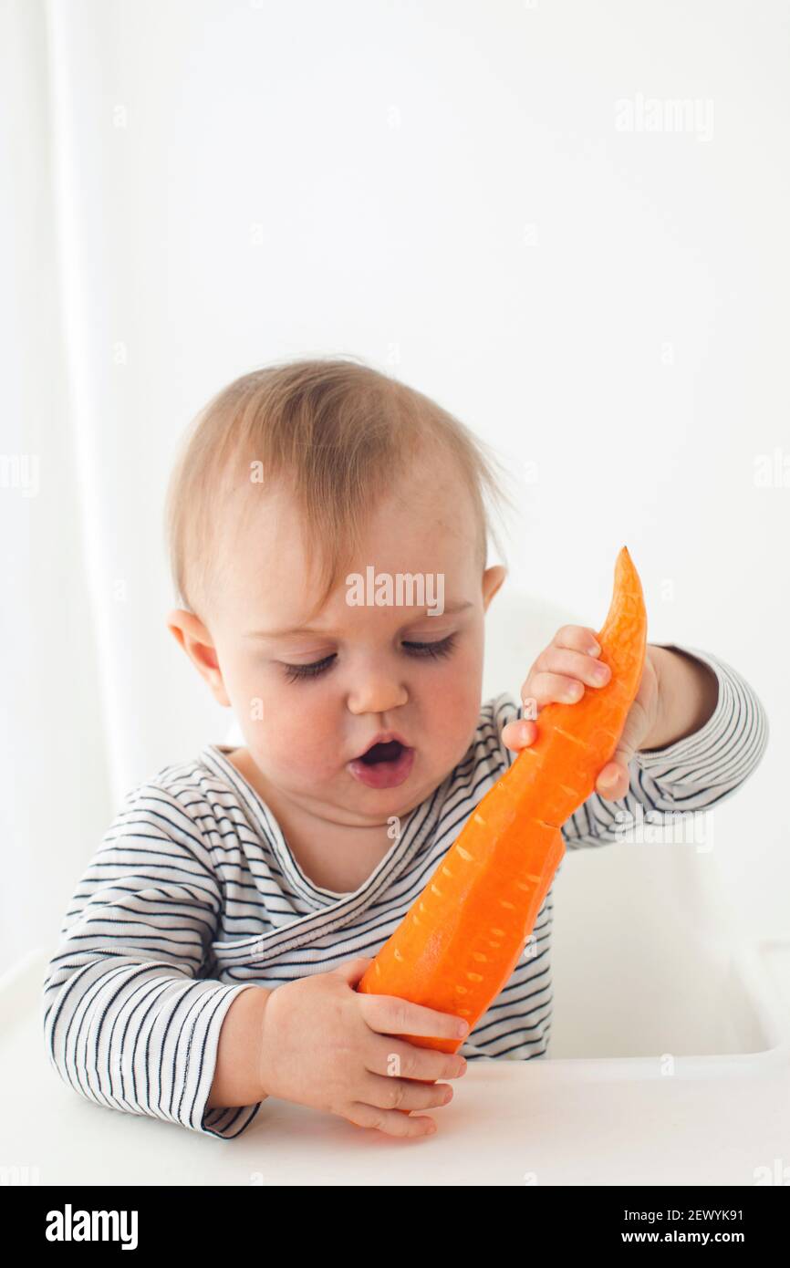 Cute baby girl are sitting whith carrot white background interior. Funny child explores vegetable Stock Photo