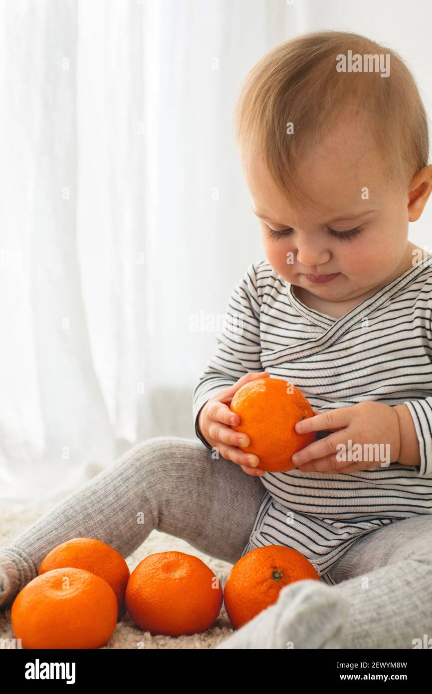 Cute baby girl are sitting with mandarin white background interior. Funny child explores the fruit Stock Photo