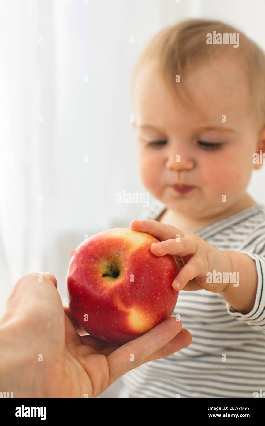 Cute baby girl are sitting with apple white background interior. Funny child explores the fruit Stock Photo