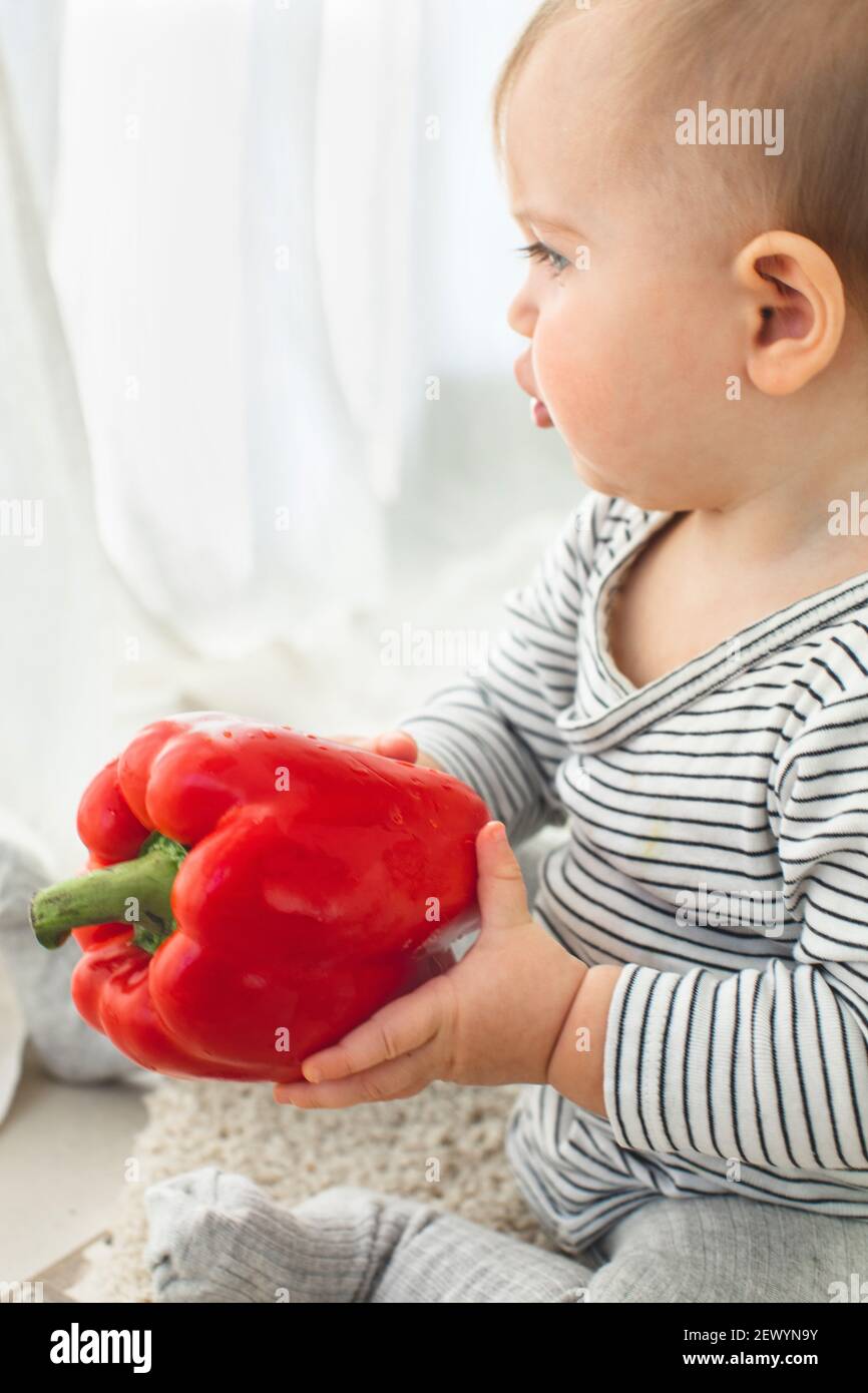 Cute baby girl are sitting with pepper white background interior. Funny child explores vegetable Stock Photo