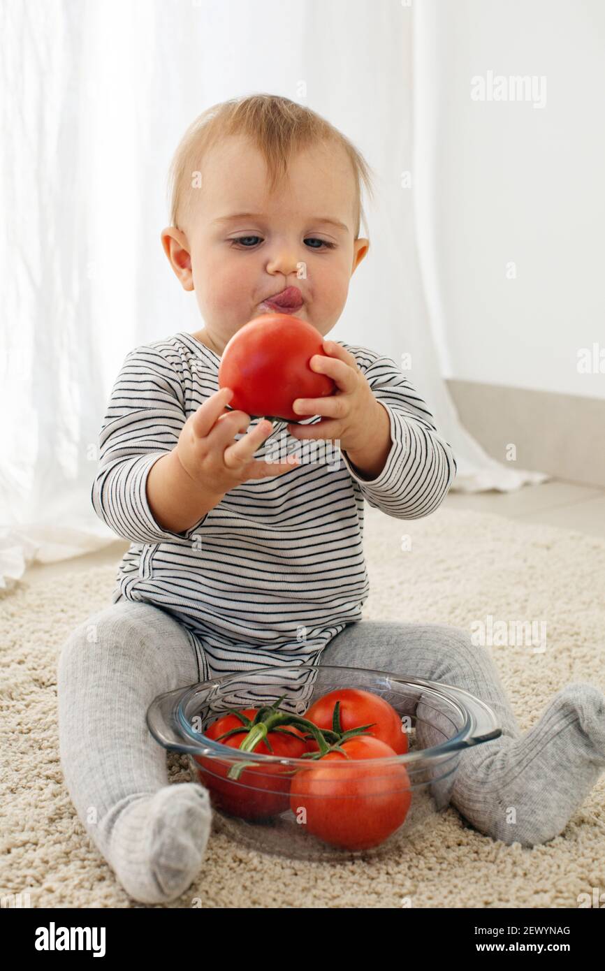 Cute baby girl are sitting whith tomato white background interior. Funny child explores vegetable Stock Photo