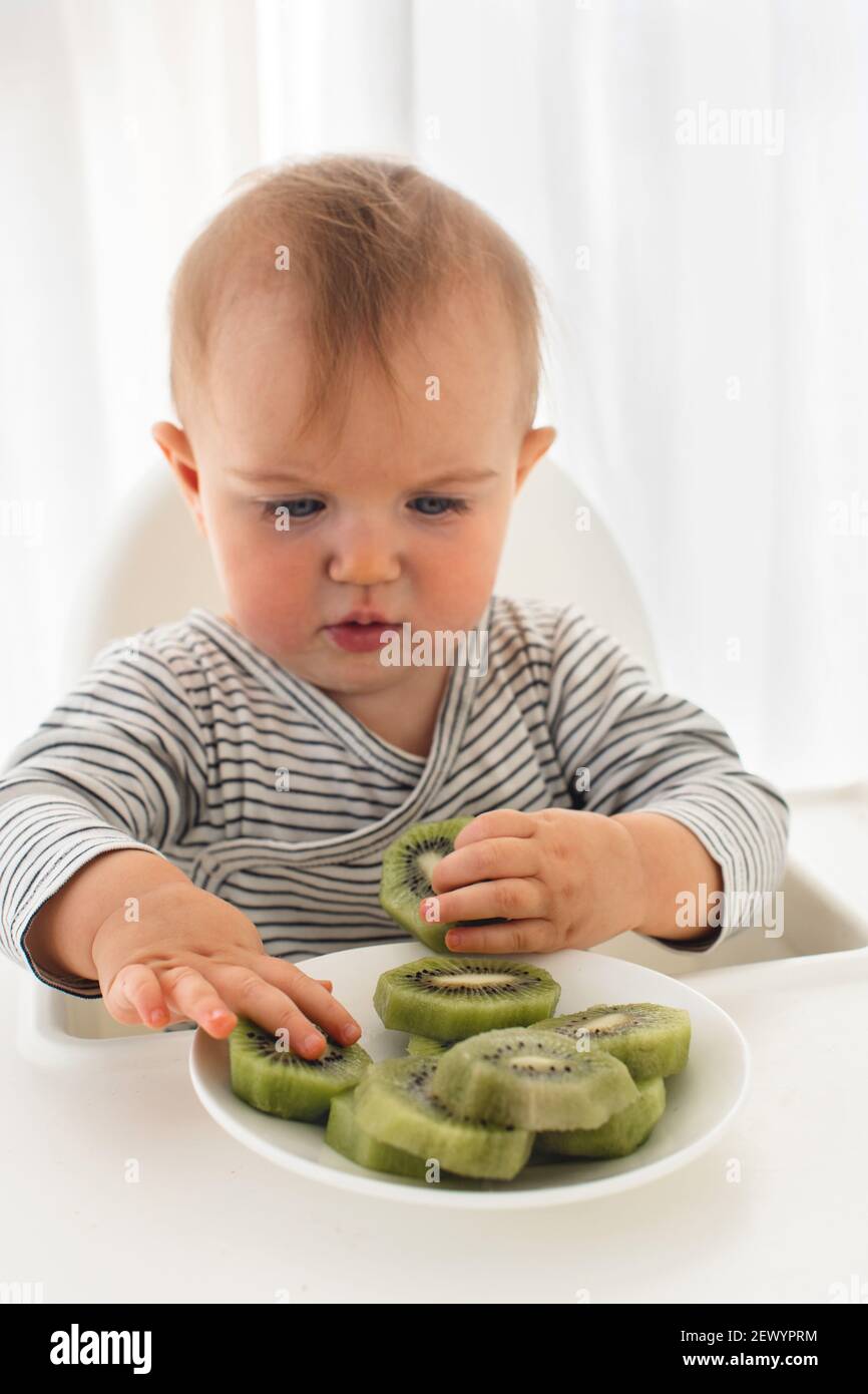 Cute baby girl are sitting whith kiwi white background interior. Funny child explores the fruit Stock Photo