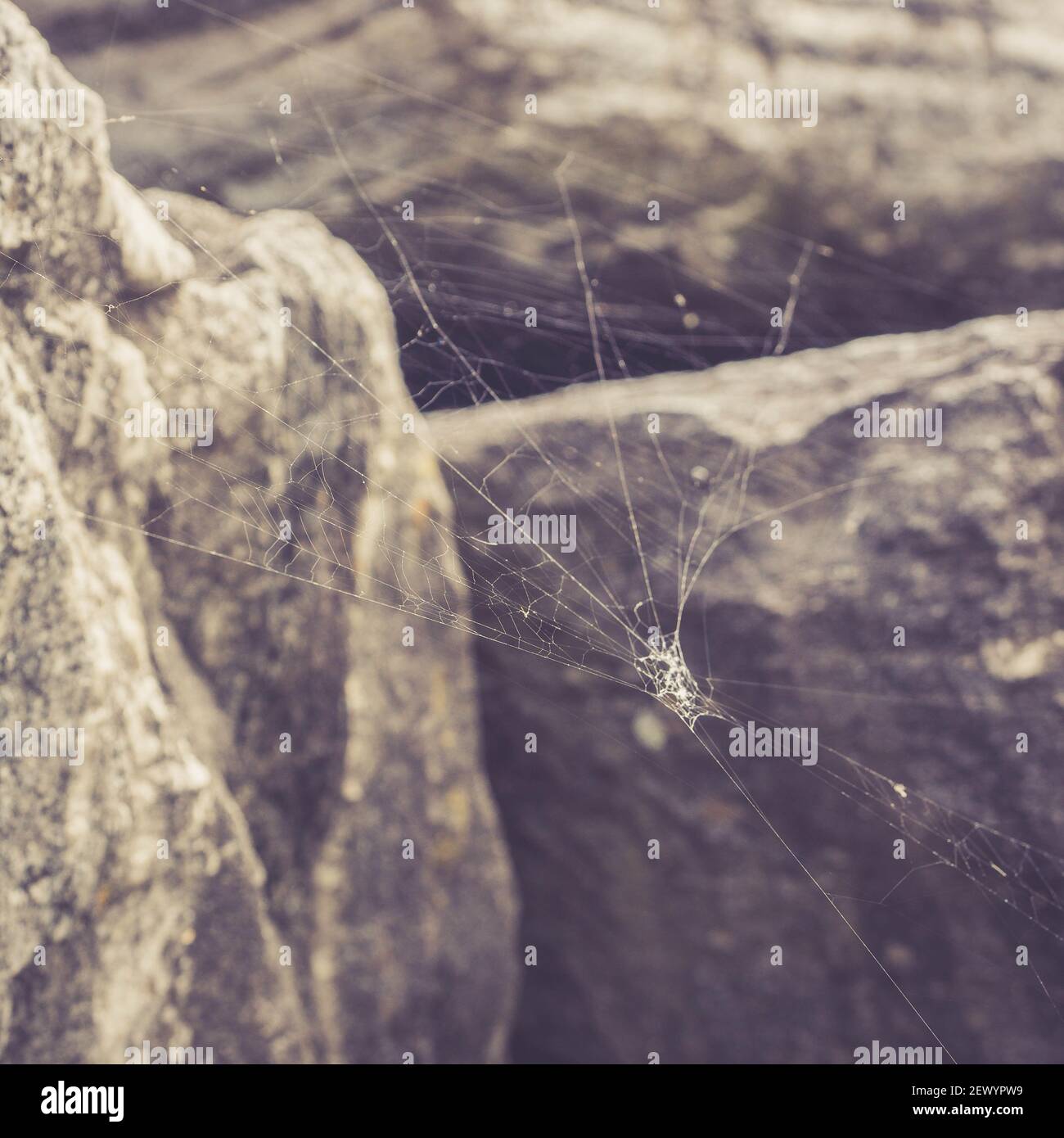 Cobweb swing hi-res stock photography and images - Alamy