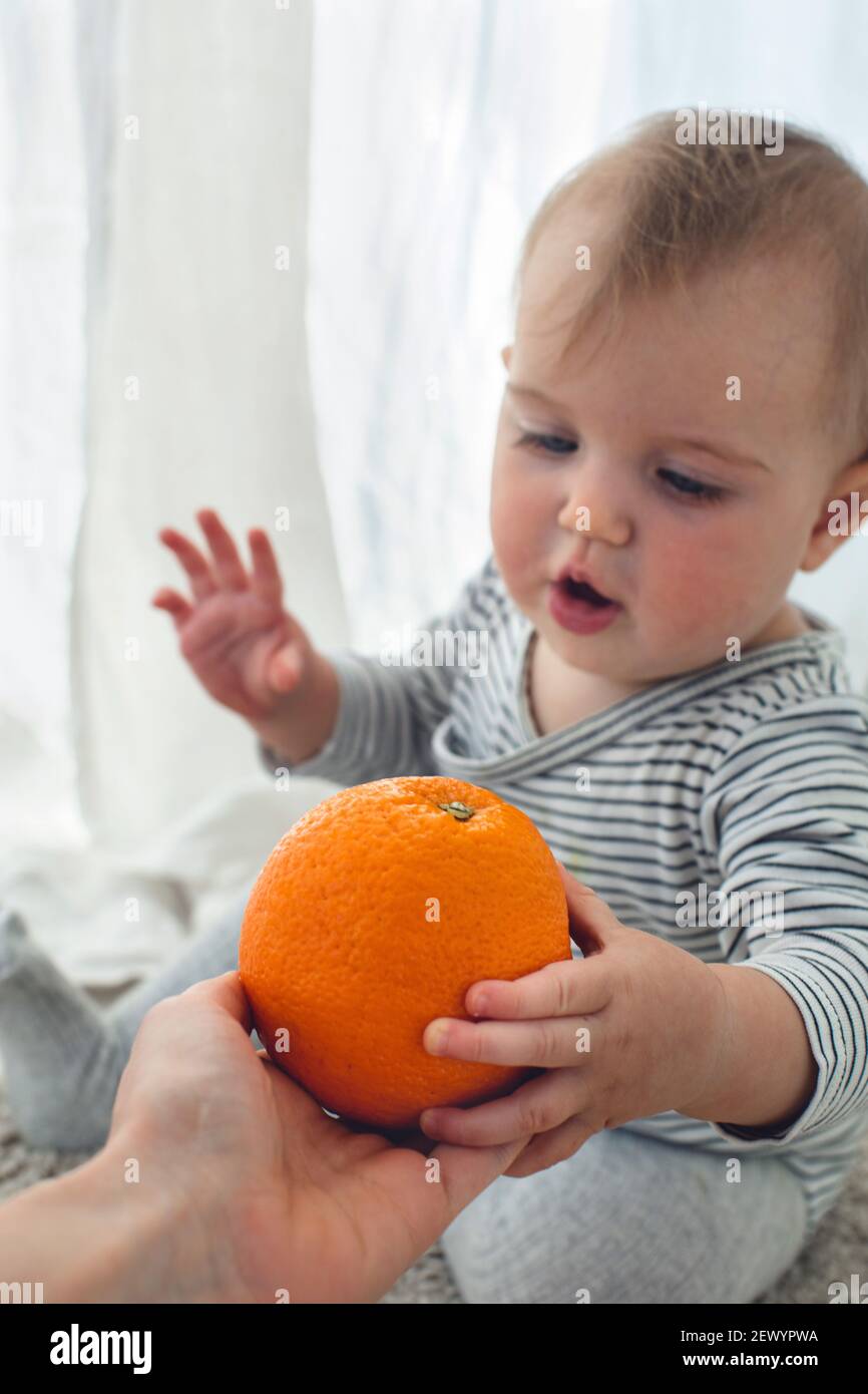 Cute baby girl are sitting whith orange white background interior. Funny child explores the fruit Stock Photo