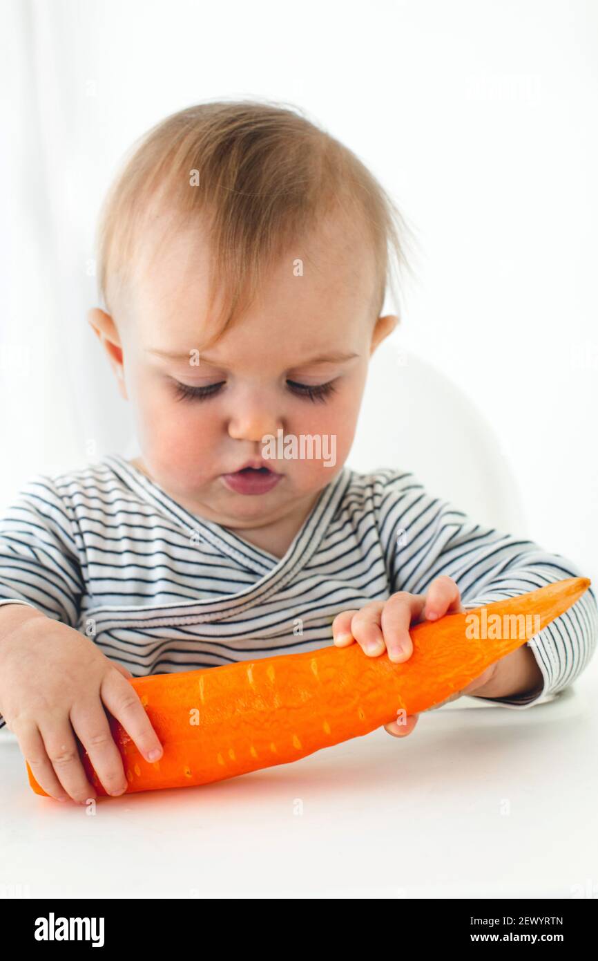 Cute baby girl are sitting whith carrot white background interior. Funny child explores vegetable Stock Photo