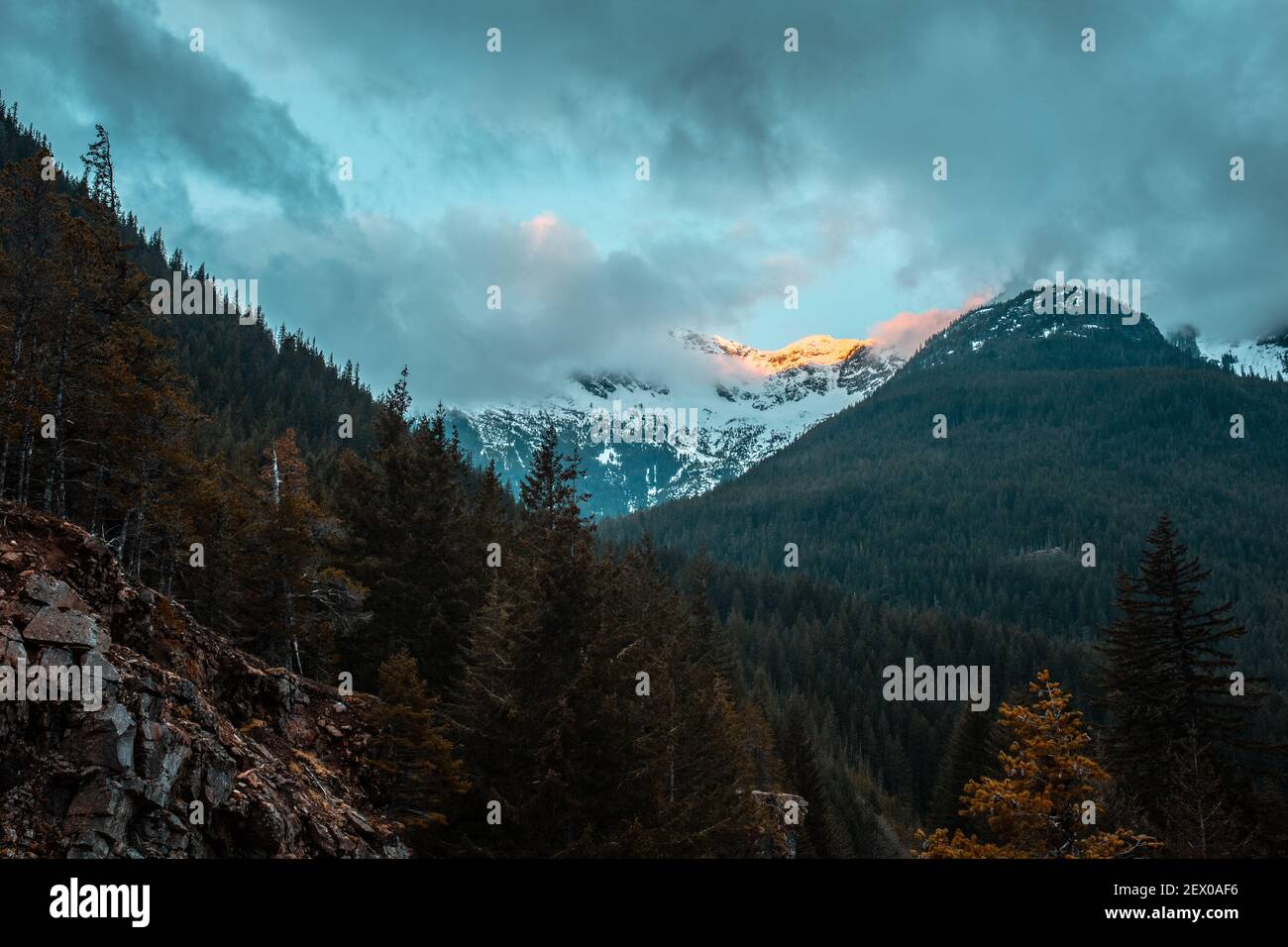 A beautiful scenery of a mountainous landscape with fir trees under a ...
