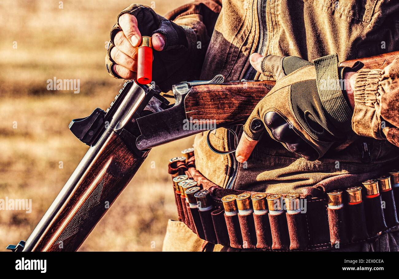 Man is charging a hunting rifle. Process of hunting during hunting season. Male hunter in ready to hunt. Closeup Stock Photo