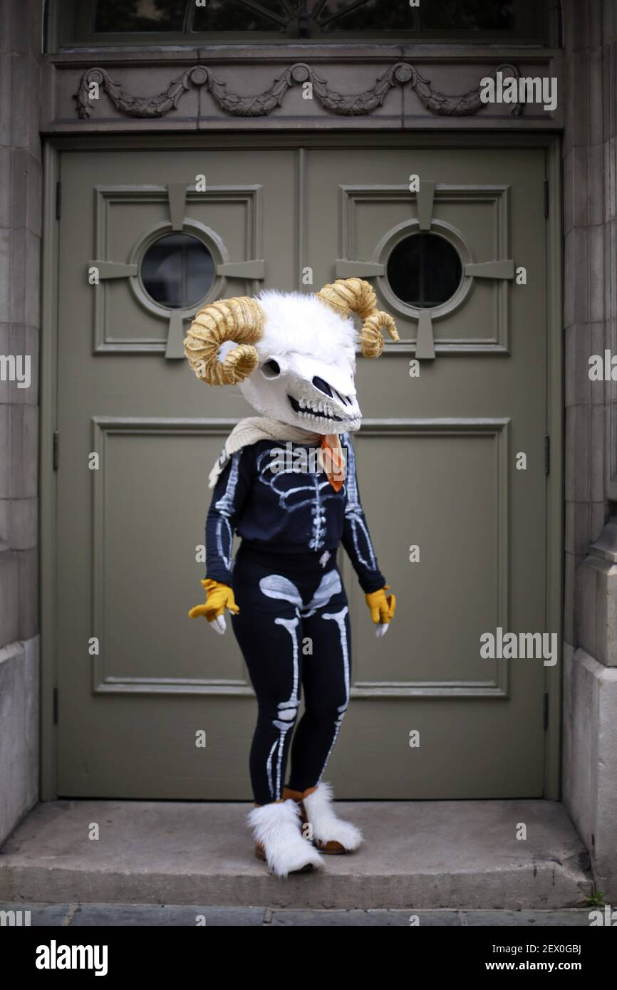 mardi gras walking krewes