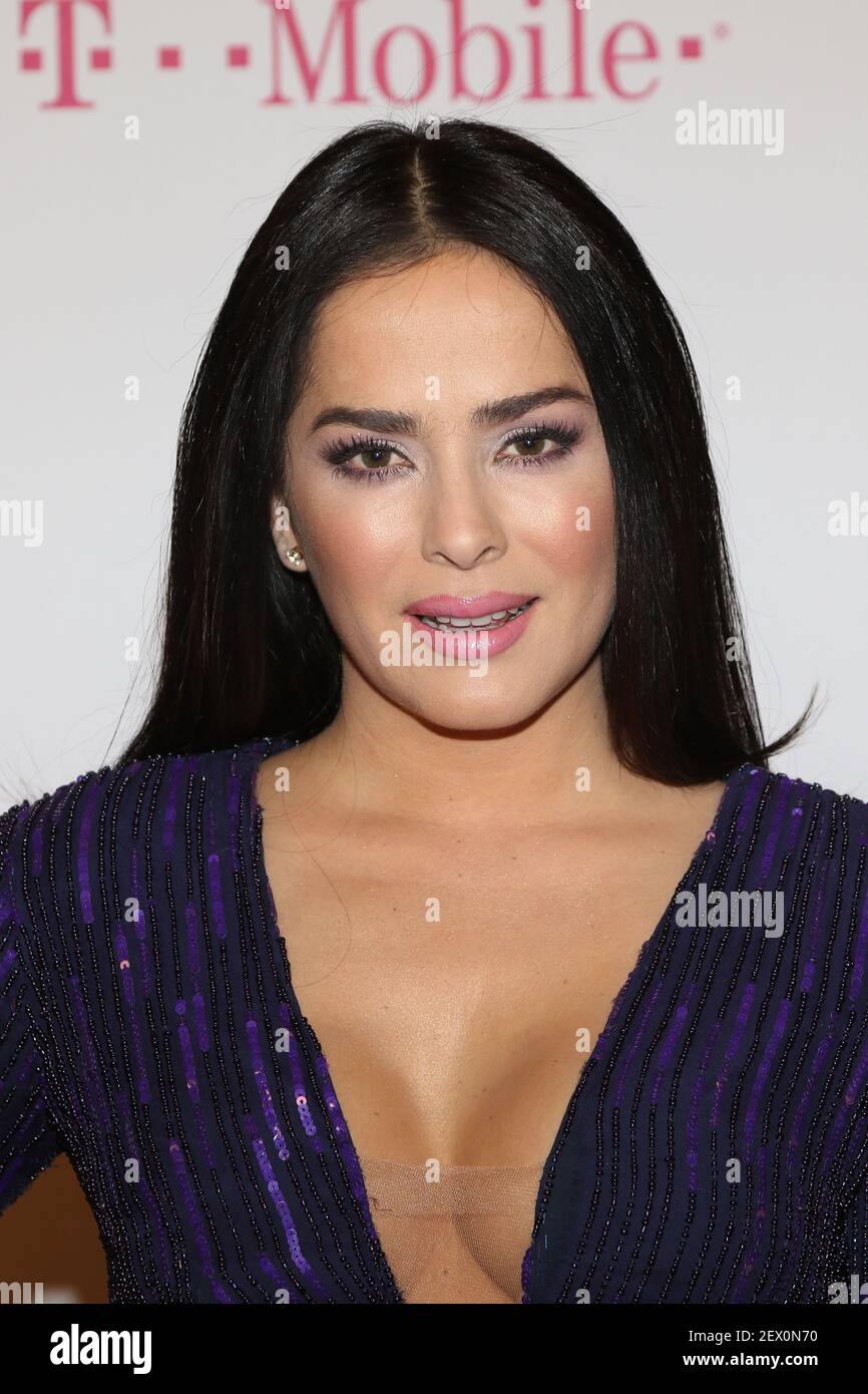 MIAMI, FL - FEBRUARY 19: Dana Garcia attends the 2015 Premios Lo