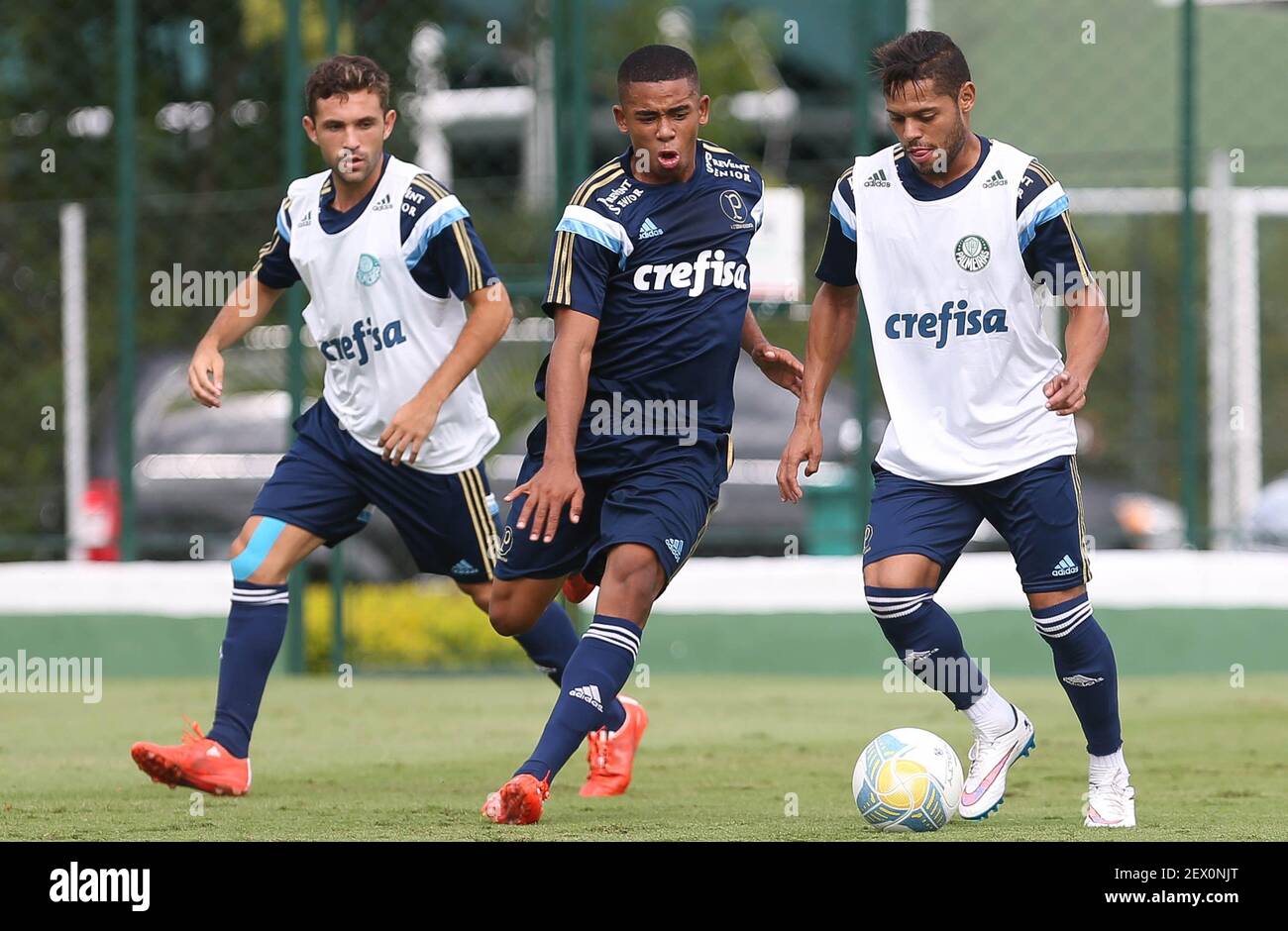 Players Allione, Gabriel Jesus and JoÃ£o Paulo (l/r) of the SE Palmeiras,  during training at the Academy of Football, in the neighborhood of Barra  Funda. SÃ£o Paulo/SP, Brazil-2/20/2015. Photo: Cesar Greco/Fotoarena Os