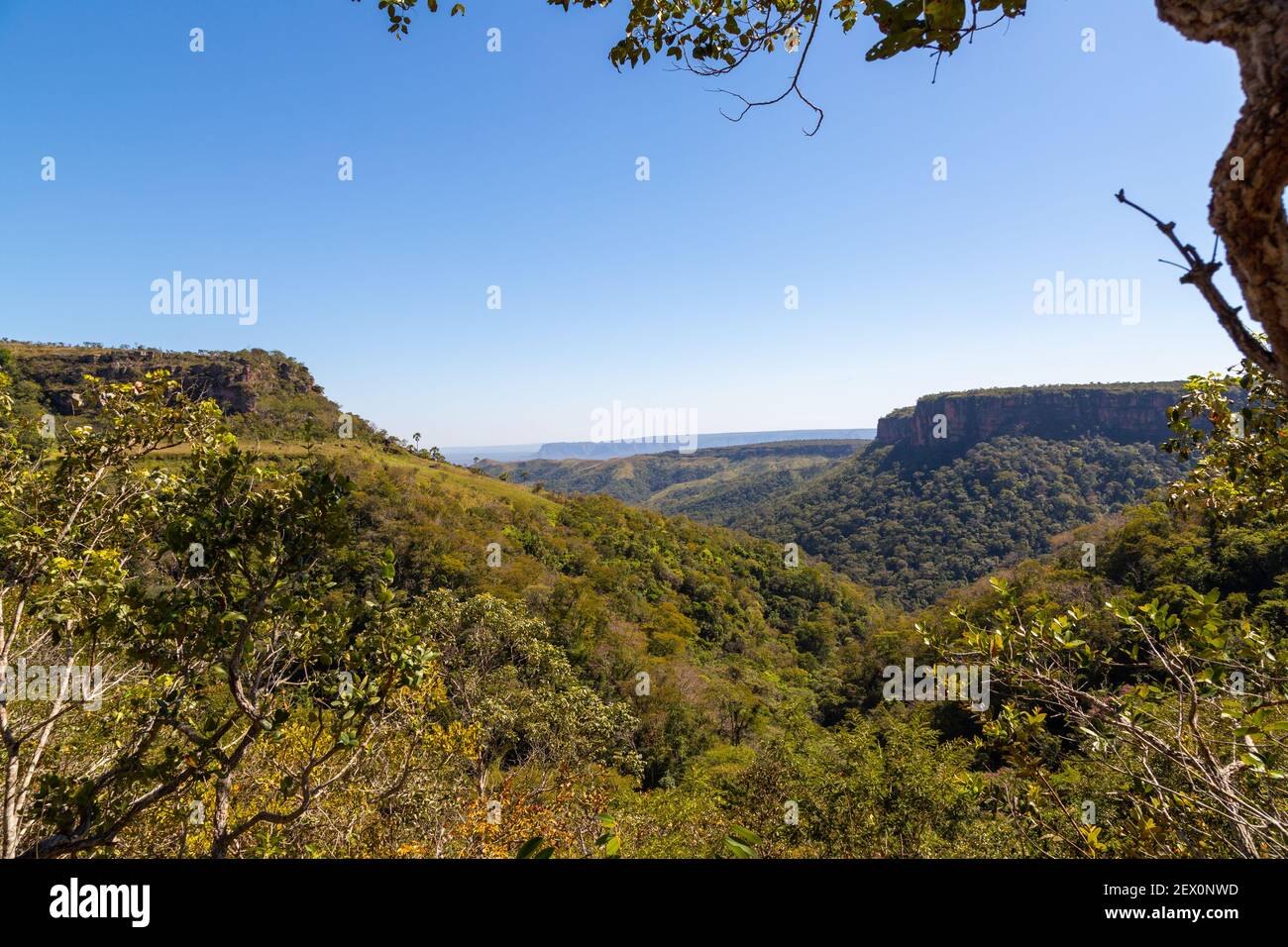 Landscape with green hills and blue sky in the Chapada dos Guimaraes Nationalpark in Mato Grosso, Brazil Stock Photo