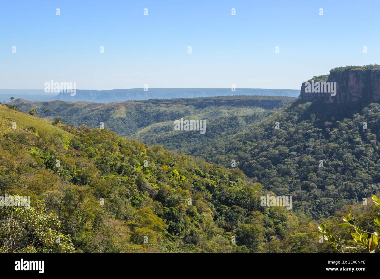 Mato grosso hi-res stock photography and images - Alamy