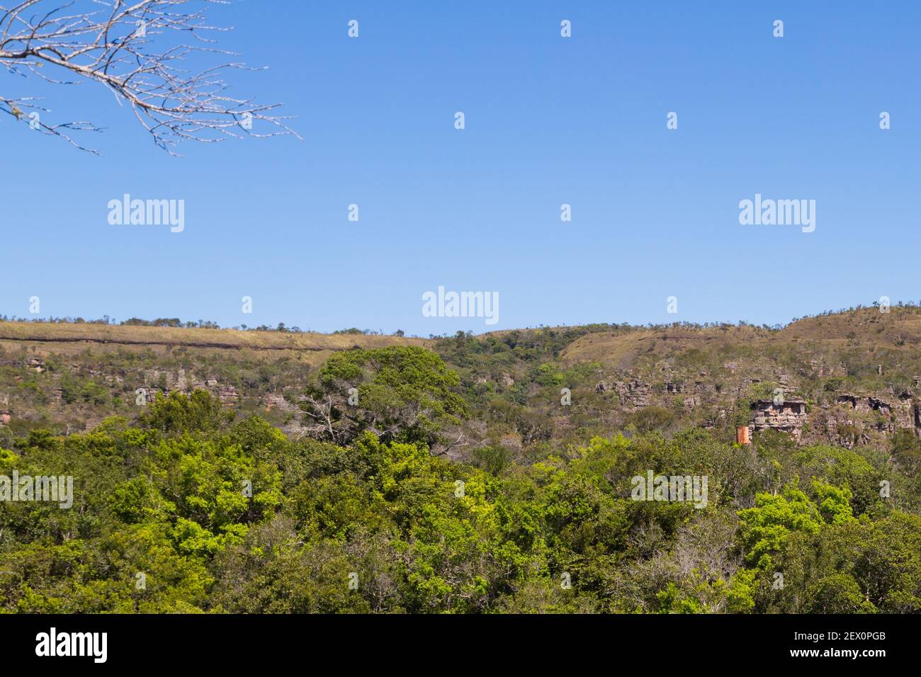 Landscape of the Chapada dos Guimaraes Nationalpark in Mato Grosso, Brazil Stock Photo