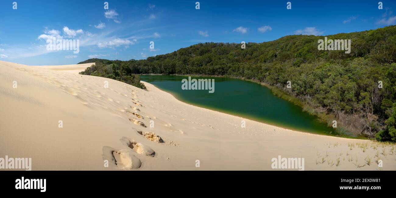 Lake Wabby and The Hammerstone Sandblow on Fraser Island. Stock Photo