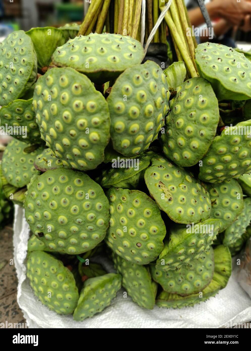 fresh lotus seed, pile of lotus seed pods in vegetable market, food