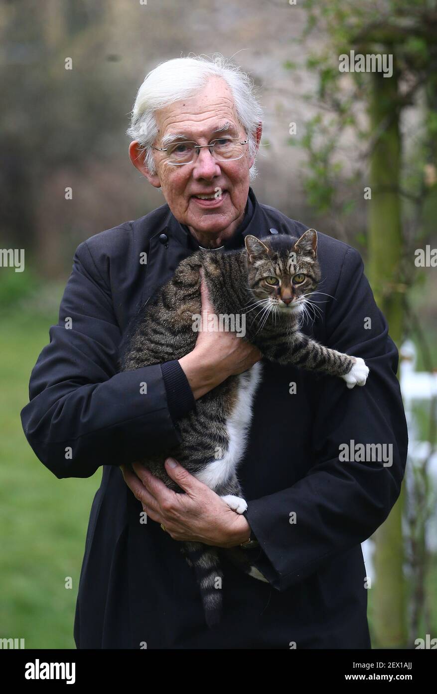 The dean of canterbury robert willis hires stock photography and