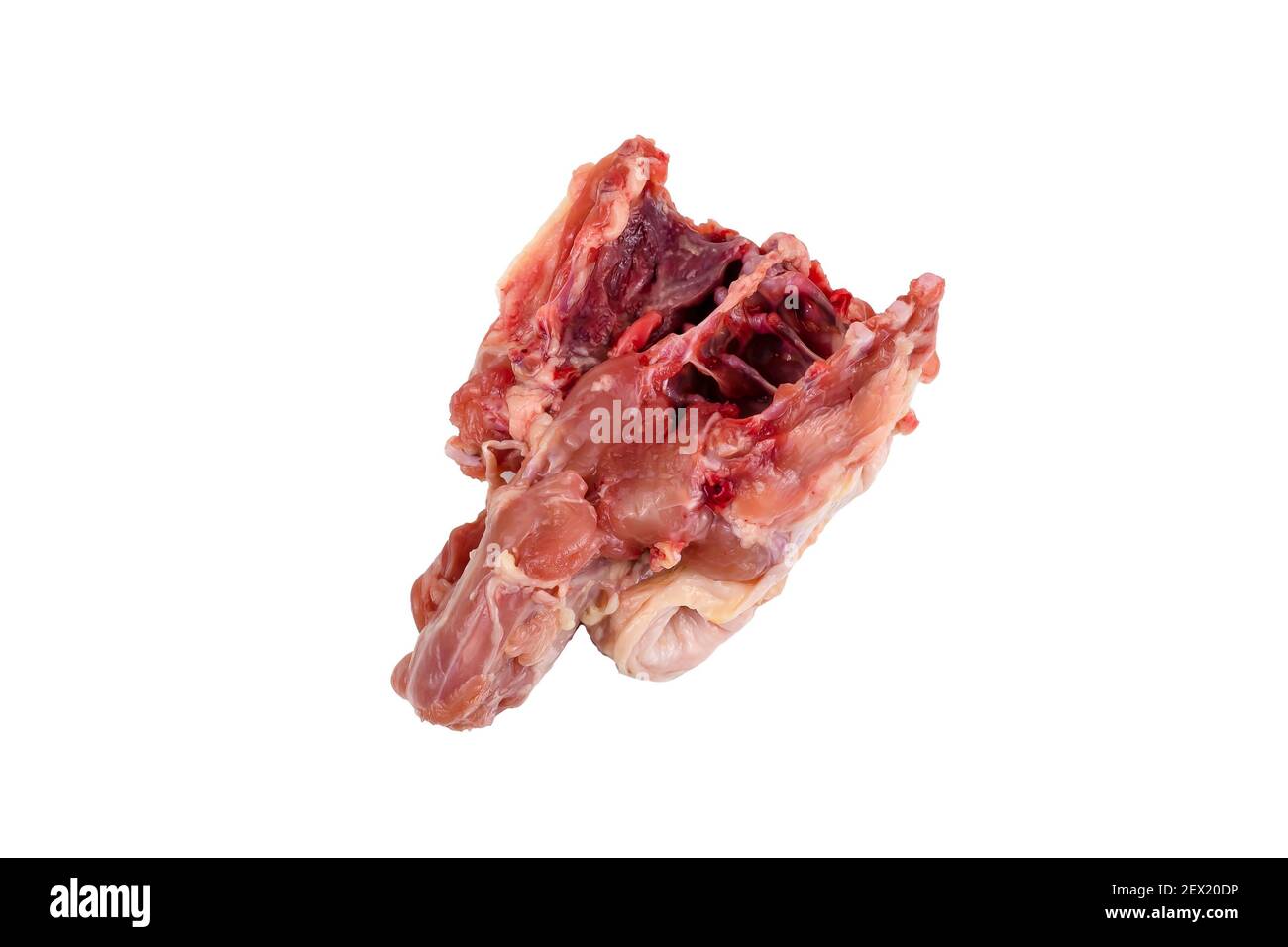 raw chicken bones for dogs