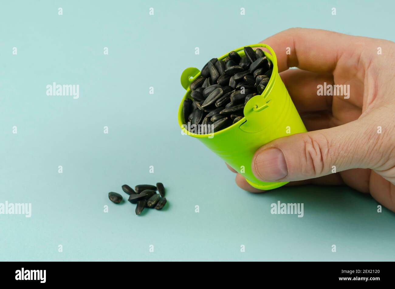 Roasted sunflower seeds, bucket and hand on a light blue background. A