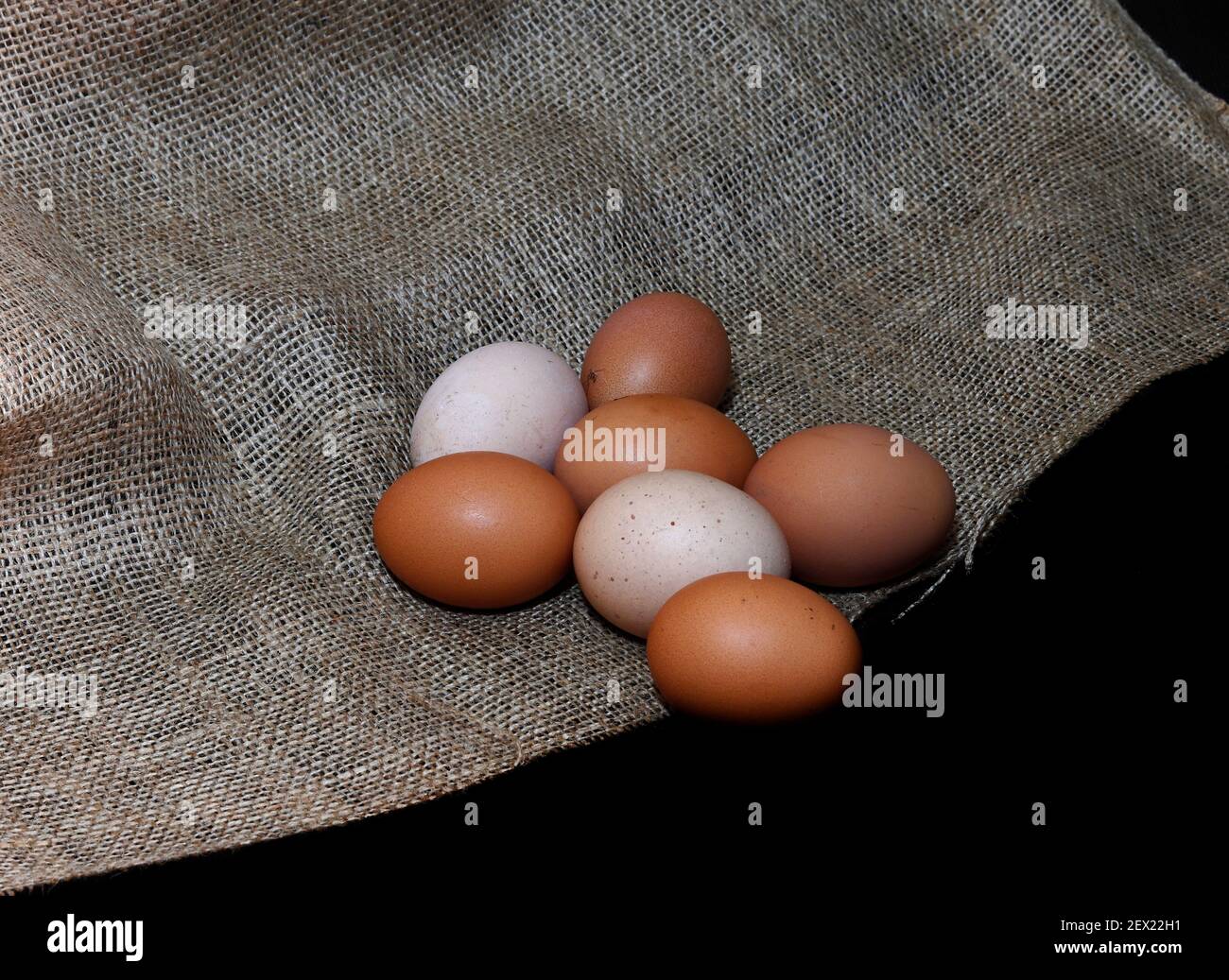 Chicken eggs on burlap fabric. Natural organic eggs Stock Photo - Alamy