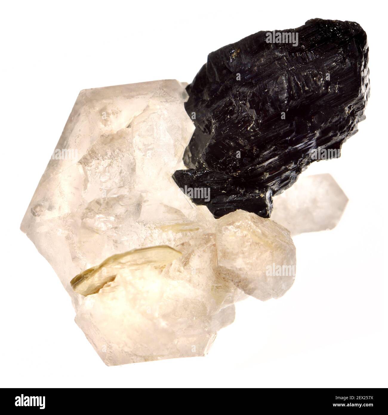 Wolframite / Hubnerite (manganese iron tungstate) on Jacare Quartz (Brazil) Stock Photo