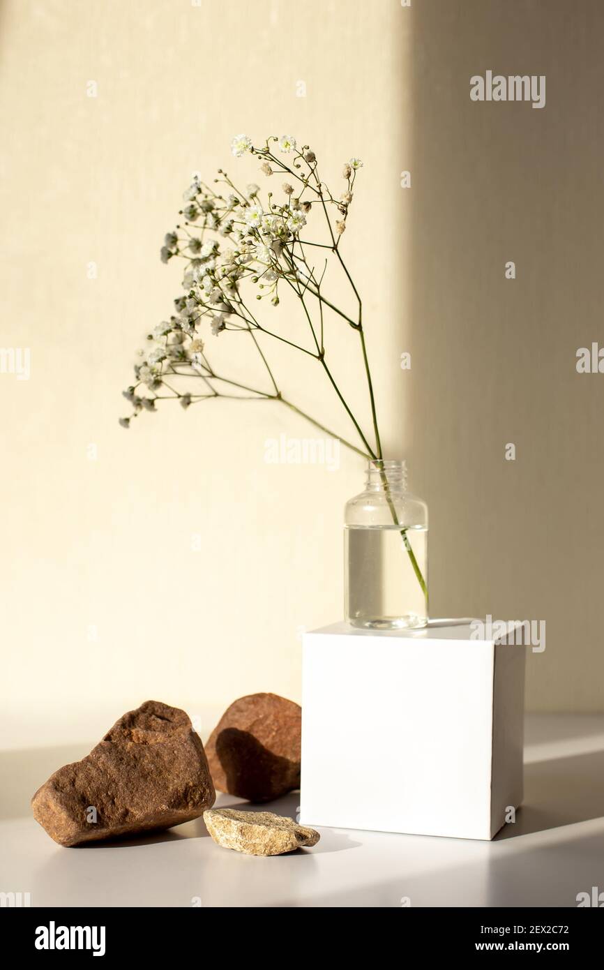 Simple geometric minimalism still life with a branch of a gypsophila flower standing on a white paper cube Stock Photo
