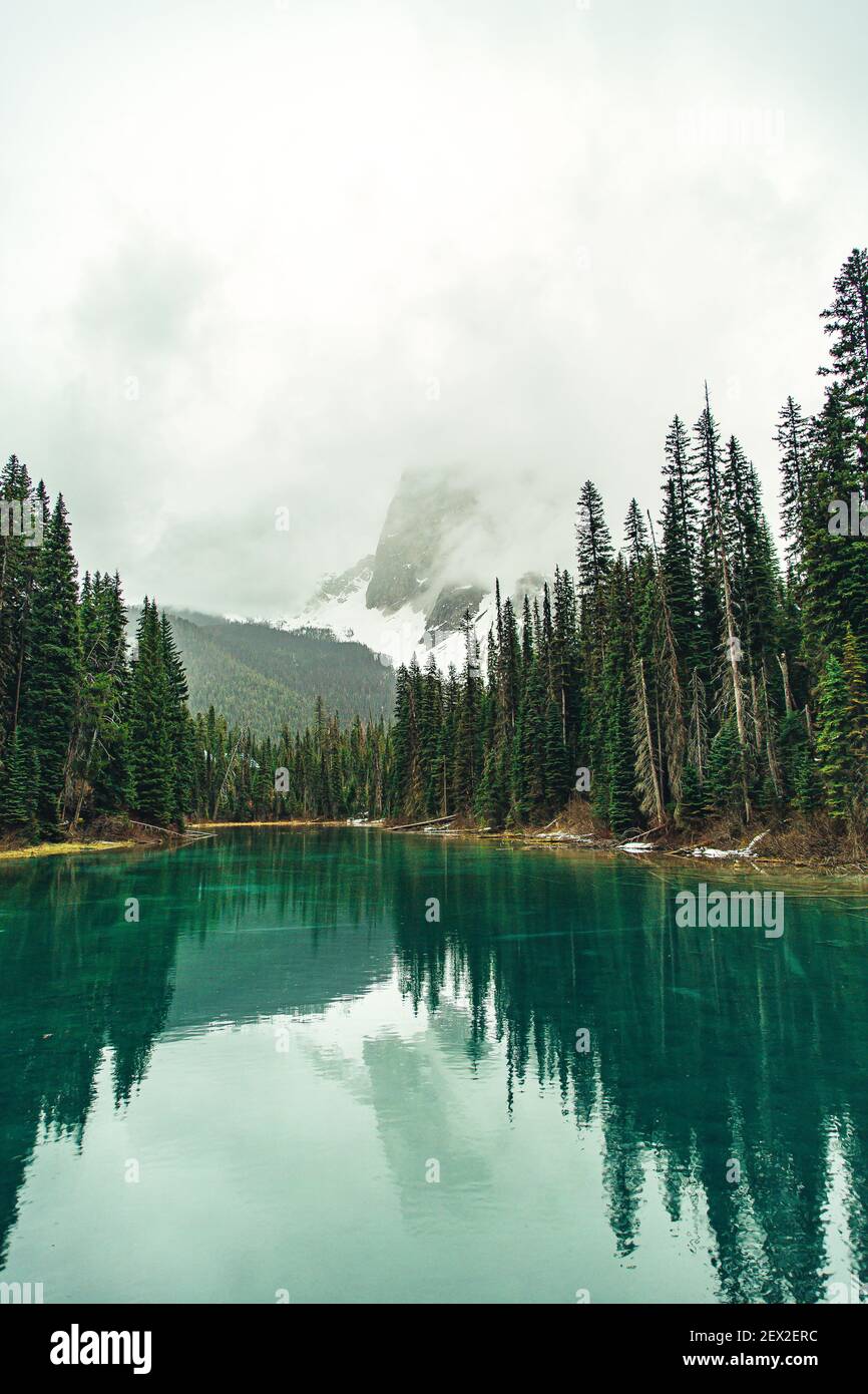 A mesmerizing view of the lake with the reflection of fir trees, the ...