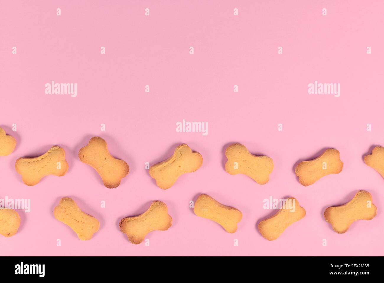 Bone shaped dog biscuits at bottom of pink background wih empty copy space Stock Photo