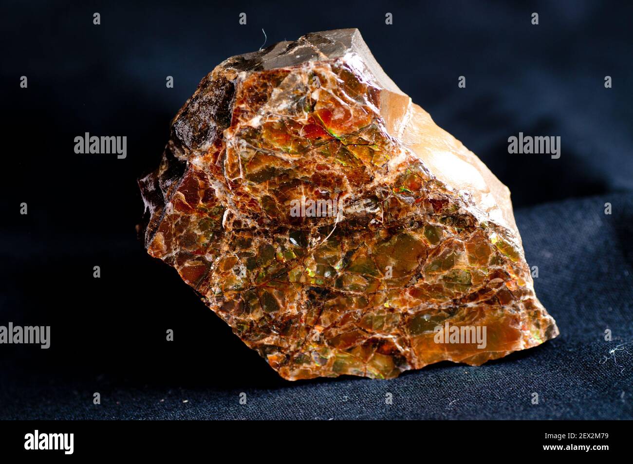 ammonite shard sample, colorful crystal fossil sections Stock Photo