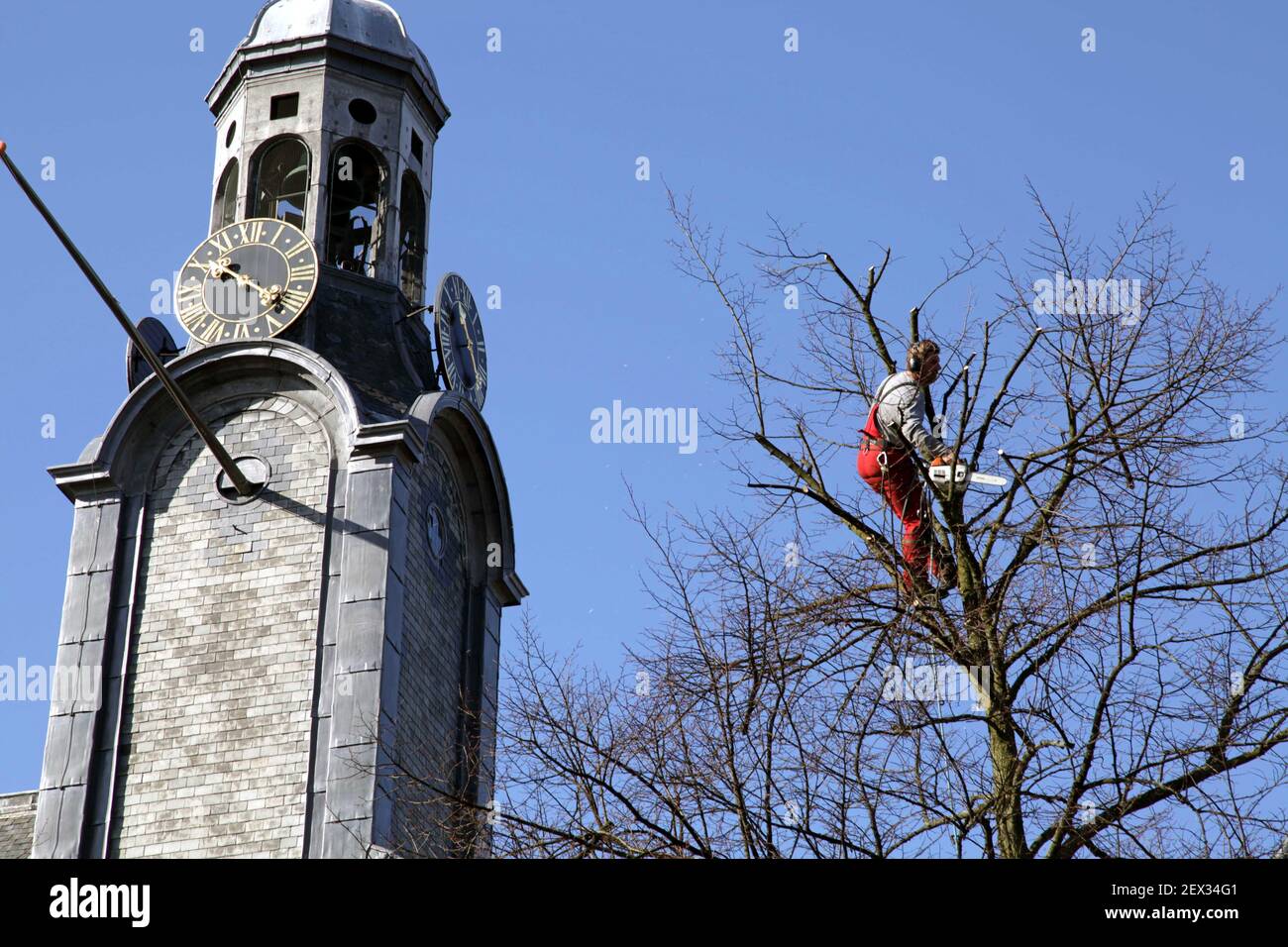 Secured by rope these men trim trees in spring using a motor saw Stock ...