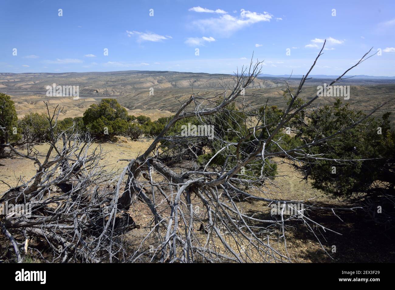 A view from Sevenmile Ridge over the Little Snake River in Moffat