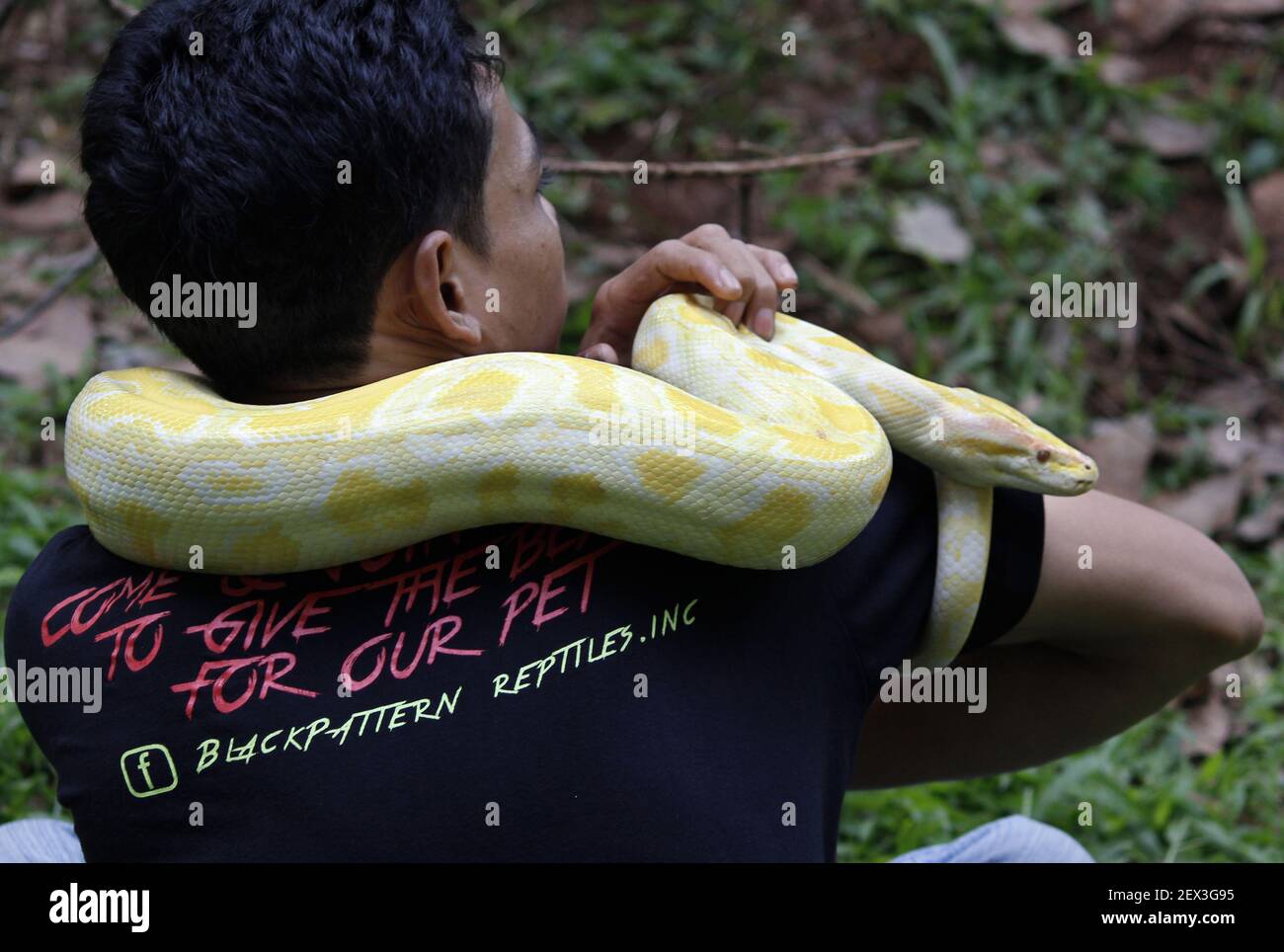 The member of the reptile Community carry their pets during a gathering ...