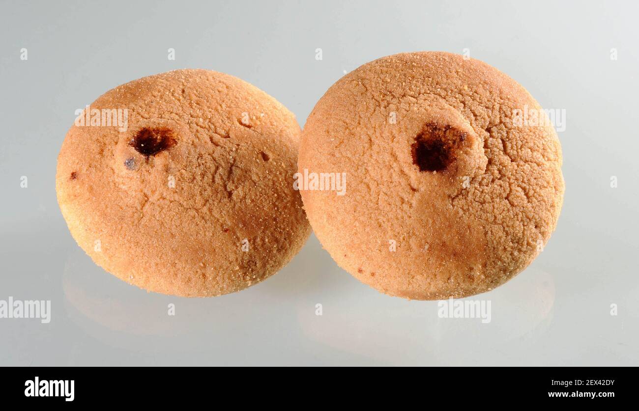 Indian bakery hires stock photography and images Alamy